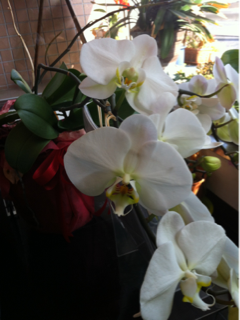 image-20120418151710.png
