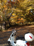 image-20121030235805.png